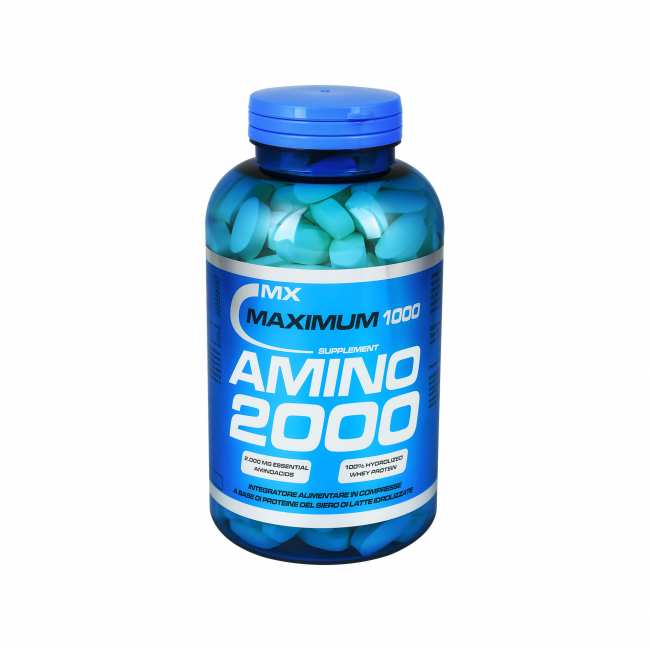 Amino 2000